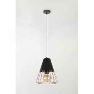 Светильник подвесной (подвес) Kasimira 5050-201 1 х E27 60 Вт лофт - кантри - фото 2