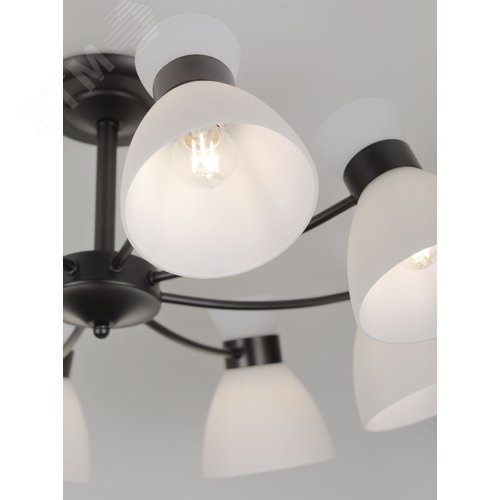 Люстра Aemilia 9185-308 8хЕ27 60 Вт модерн - фото 18