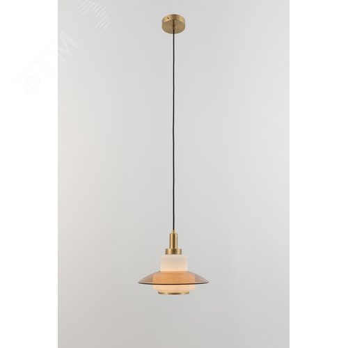 Светильник подвесной 1хЕ27 40Вт дизайн Camille 4113-201 - фото 13