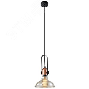 Светильник подвесной (подвес) Leila 4093-201 1 х Е27 40 Вт дизайн потолочный - фото 1