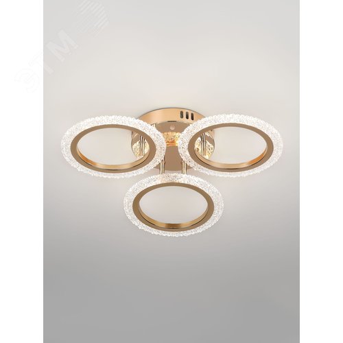 Светильник светодиодный потолочный ДПБ-42Вт 3000-6000К с пультом Rivoli Evlalia 6178-703 - фото 2