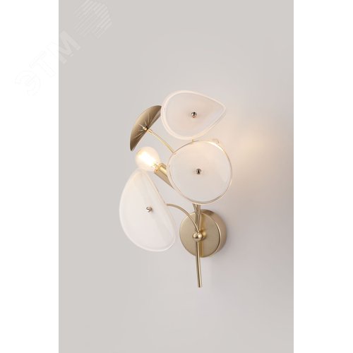 Бра светильник настенный 40Вт 2хЕ14 Albertina 4124-402 дизайн - фото 8