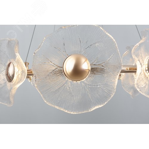 Люстра светодиодная LED 30Вт 3000K 6135-101 Shannon дизайн - фото 9