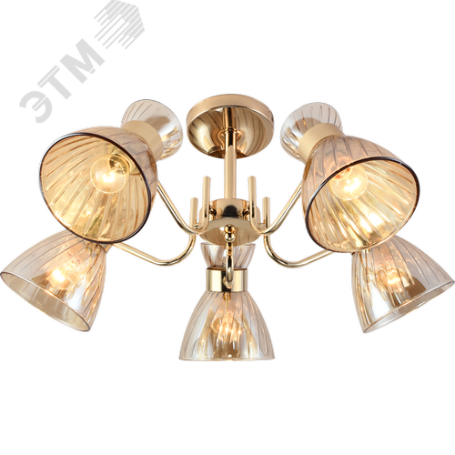 Люстра 5хЕ27 60 Вт модерн Rivoli Victoria 9183-305 - фото 1