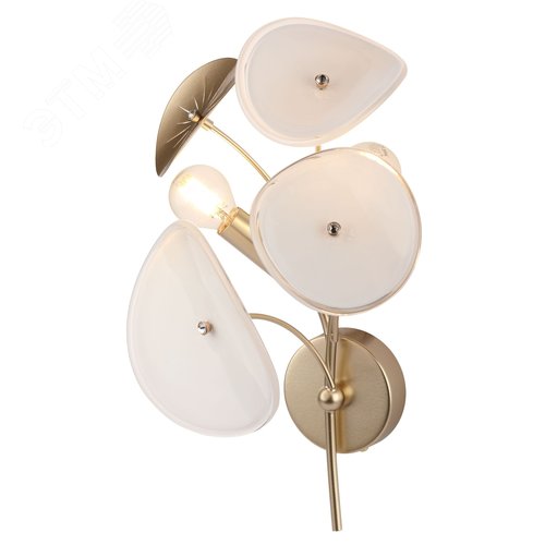 Бра светильник настенный 40Вт 2хЕ14 Albertina 4124-402 дизайн - фото 2