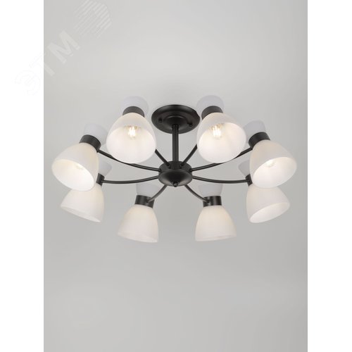 Люстра Aemilia 9185-308 8хЕ27 60 Вт модерн - фото 10