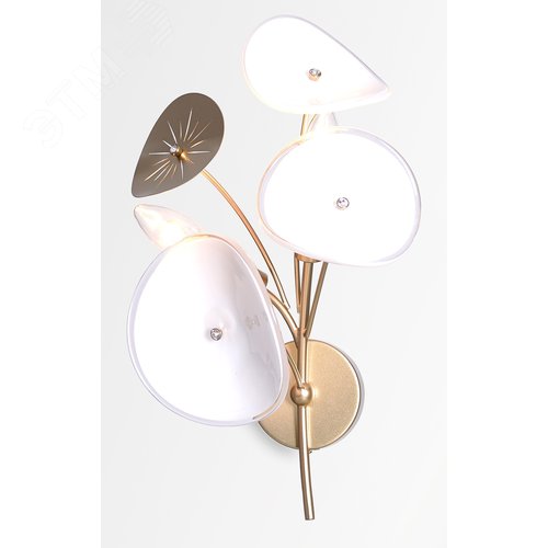 Бра светильник настенный 40Вт 2хЕ14 Albertina 4124-402 дизайн - фото 1