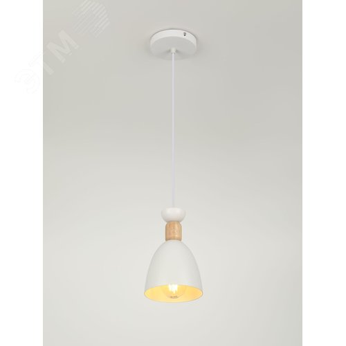 Светильник подвесной Catherine 5109-201 1хЕ27 60 Вт лофт-кантри - фото 5