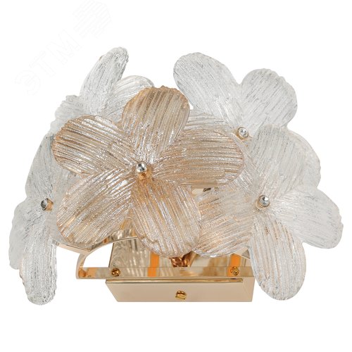 Бра светильник 5Вт дизайн 3хG95 Ethel 6132-401 - фото 2