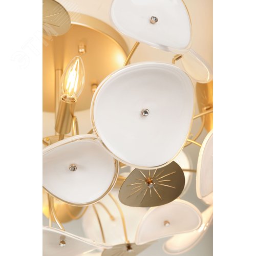 Люстра 8хЕ14 40Вт 4124-308 Albertina дизайн - фото 14