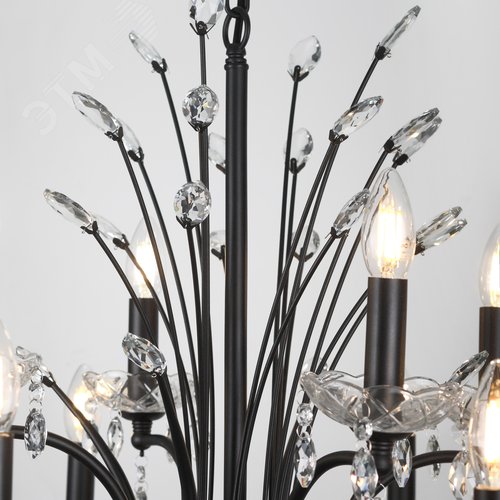 Люстра 12хЕ14 40Вт классика 2097-312 Anamaria - фото 11