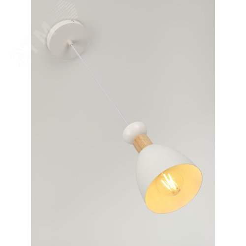 Светильник подвесной Catherine 5109-201 1хЕ27 60 Вт лофт-кантри - фото 10