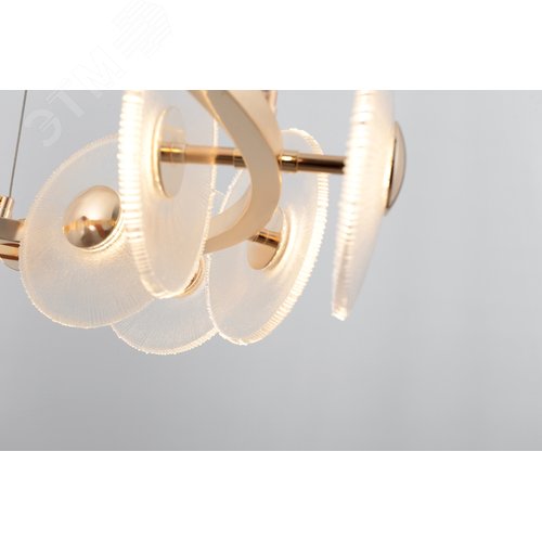 Люстра светодиодная LED 30Вт 3000K 6134-101 Helena дизайн - фото 8