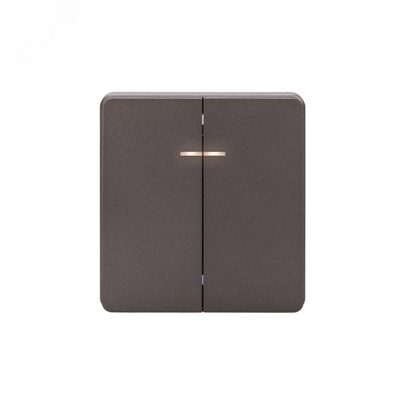 Изображение товара KRANZ ROUND 2 клавиши скрытый монтаж подсветка титан KR-78-0714-2