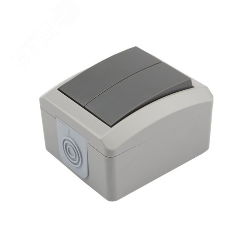 Изображение товара Выключатель двухклавишный INDUSTRIAL IP54, о/у, серый (шт)