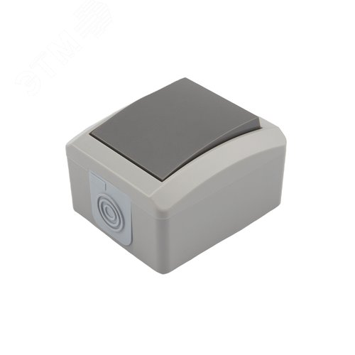 Изображение товара Переключатель проходной INDUSTRIAL IP54, о/у, серый (шт)