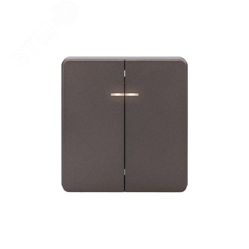 Изображение товара Выключатель ROUND двухклавишный с подсветкой 10А скрытой установки механизм титан (шт)