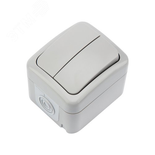 Изображение товара Выключатель двухклавишный Mini OG IP54, о/у, серый (шт)