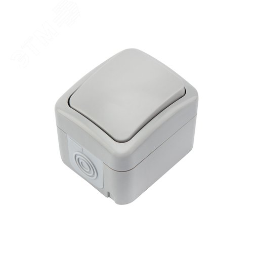 Изображение товара Выключатель одноклавишный Mini OG IP54, о/у, серый (шт)
