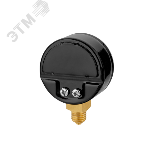 Манометр ТМ-210Р.00(0-16МРа) M12x1,5.2,5. ГАЗ (ч/к) - фото 1