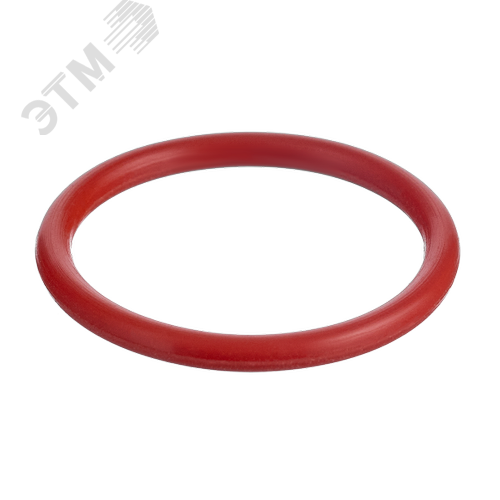 Кольцо уплотнительное (CS 81) IFT0675 - фото 1