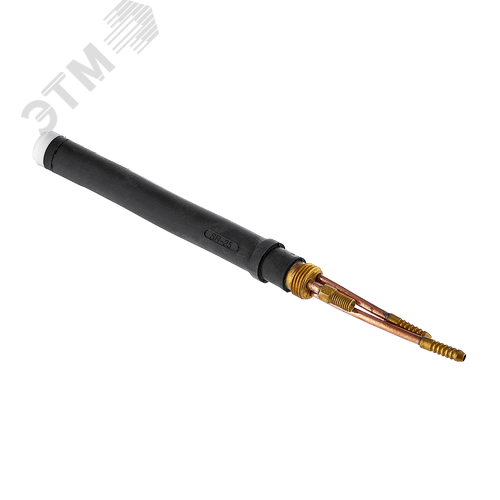 Изображение товара Головка (TS25) IGI0075 (шт)