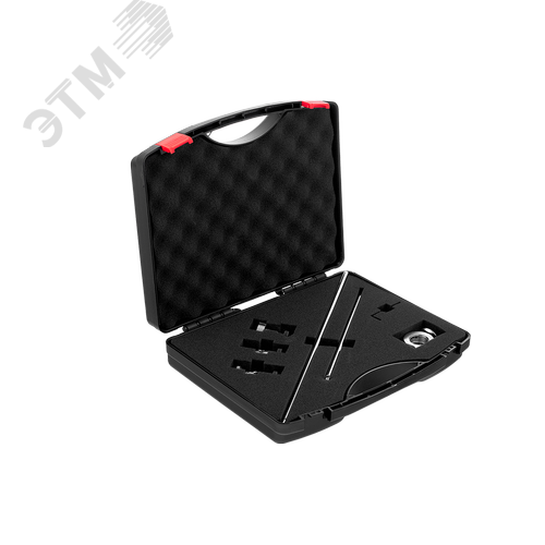 Набор балеринок (CS 70) ISM0029 - фото 2