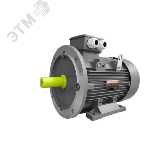 Электродвигатель трехфазный асинхронный OMTG-RT 355S4 250 кВт 1500 об ...