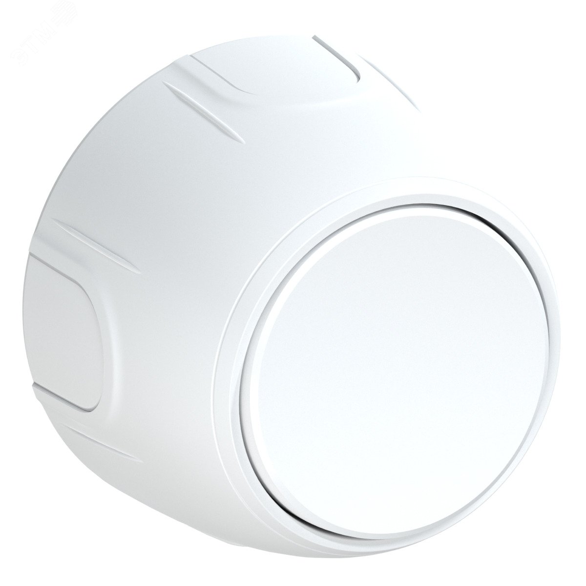 Изображение товара Выключатель одинарный Rotondo белого цвета 220В IP20