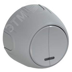 Изображение товара Выключатель двойной Rotondo с подсветкой, цвет серый (шт)