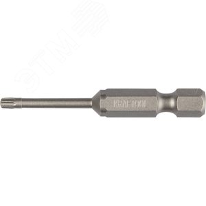 Изображение товара Торсионные кованые биты X-Drive T10 50 мм 2 шт (набор)