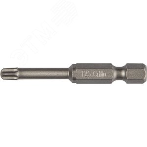 Изображение товара Торсионные кованые биты X-Drive T20 50 мм 2 шт (набор)