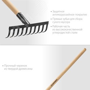 Грабли садовые 260х80х1300 мм, 10 прямых зубьев, с деревянным черенком - фото 2