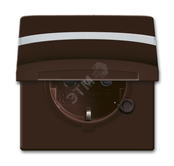 Allwetter44 Розетка SCHUKO c полем для надписи с крышкой с защитными шторками IP44 коричневая уплотнительное кольцо в комплекте 16А 250В. 20 EUGKBN-31-101 ABB - превью 2