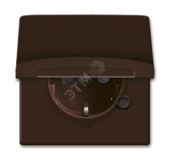 Allwetter44 Розетка SCHUKO с крышкой с защитными шторками IP44 коричневый уплотнительное кольцо в комплекте 16А 250В 20 EUGKB-31-101 ABB - превью 2