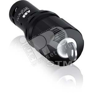 аварийная кнопка манга персонажи. small 1sfa619502r1076. аварийная кнопка манга персонажи фото. аварийная кнопка манга персонажи-small 1sfa619502r1076. картинка аварийная кнопка манга персонажи. картинка small 1sfa619502r1076. Briefly about Tokyo Manji Revengers: Their was Takemichi – a 26-year-old loser maiden. Once he finds out that the closest girlfriend he’s ever had to a relationship with has been murdered. It happened in a Tokyo Swaston by mob riot. Once he crashes in front of a train. So, Takemichi is moved back 12 years. To his secondary education days. He resolves to alter the future. In an effort to rescue the young lady. Enlisting the assistance of her little brother, Takemichi starts his way to the upper levels of the city’s deadliest group. аварийная кнопка манга персонажи. small 1sfa619502r1076. аварийная кнопка манга персонажи фото. аварийная кнопка манга персонажи-small 1sfa619502r1076. картинка аварийная кнопка манга персонажи. картинка small 1sfa619502r1076. Briefly about Tokyo Manji Revengers: Their was Takemichi – a 26-year-old loser maiden. Once he finds out that the closest girlfriend he’s ever had to a relationship with has been murdered. It happened in a Tokyo Swaston by mob riot. Once he crashes in front of a train. So, Takemichi is moved back 12 years. To his secondary education days. He resolves to alter the future. In an effort to rescue the young lady. Enlisting the assistance of her little brother, Takemichi starts his way to the upper levels of the city’s deadliest group.