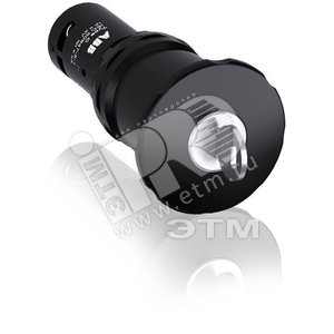 аварийная кнопка манга персонажи. small 1sfa619552r1076. аварийная кнопка манга персонажи фото. аварийная кнопка манга персонажи-small 1sfa619552r1076. картинка аварийная кнопка манга персонажи. картинка small 1sfa619552r1076. Briefly about Tokyo Manji Revengers: Their was Takemichi – a 26-year-old loser maiden. Once he finds out that the closest girlfriend he’s ever had to a relationship with has been murdered. It happened in a Tokyo Swaston by mob riot. Once he crashes in front of a train. So, Takemichi is moved back 12 years. To his secondary education days. He resolves to alter the future. In an effort to rescue the young lady. Enlisting the assistance of her little brother, Takemichi starts his way to the upper levels of the city’s deadliest group. аварийная кнопка манга персонажи. small 1sfa619552r1076. аварийная кнопка манга персонажи фото. аварийная кнопка манга персонажи-small 1sfa619552r1076. картинка аварийная кнопка манга персонажи. картинка small 1sfa619552r1076. Briefly about Tokyo Manji Revengers: Their was Takemichi – a 26-year-old loser maiden. Once he finds out that the closest girlfriend he’s ever had to a relationship with has been murdered. It happened in a Tokyo Swaston by mob riot. Once he crashes in front of a train. So, Takemichi is moved back 12 years. To his secondary education days. He resolves to alter the future. In an effort to rescue the young lady. Enlisting the assistance of her little brother, Takemichi starts his way to the upper levels of the city’s deadliest group.