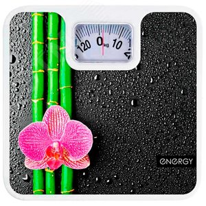 Изображение товара Весы напольные механические ENМ-409D (шт)