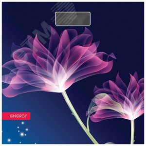 Изображение товара Весы напольные электронные EN-419G (шт)