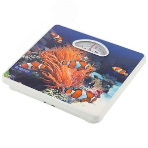 Изображение товара Весы напольные механические ENМ-408H (шт)