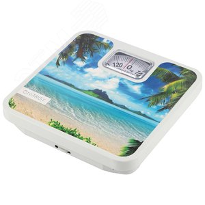 Изображение товара Весы напольные механические ENМ-409F (шт)