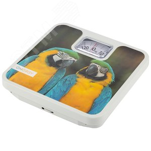 Изображение товара Весы напольные механические ENМ-409H (шт)