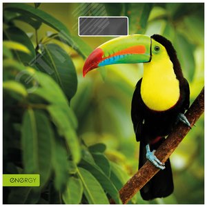 Изображение товара Весы напольные электронные EN-419L (шт)