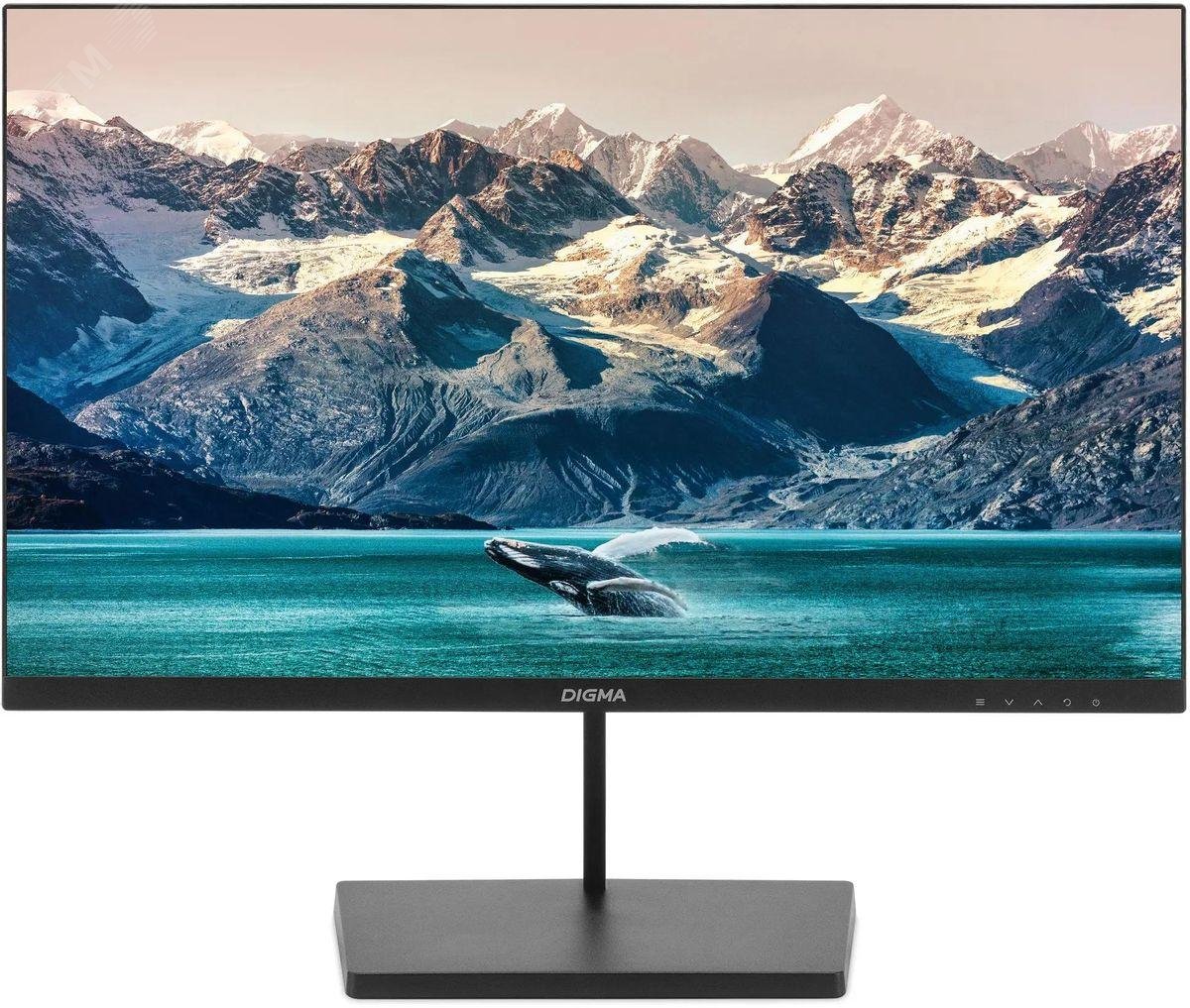 Изображение товара Монитор для ПК 23.8'' Progress24P501F, 1920x1080, LED, IPS, матовая, 250cd, 100Hz, 5ms, HDMI, VGA, DP, FreeSync, G-Sync, черный (шт)