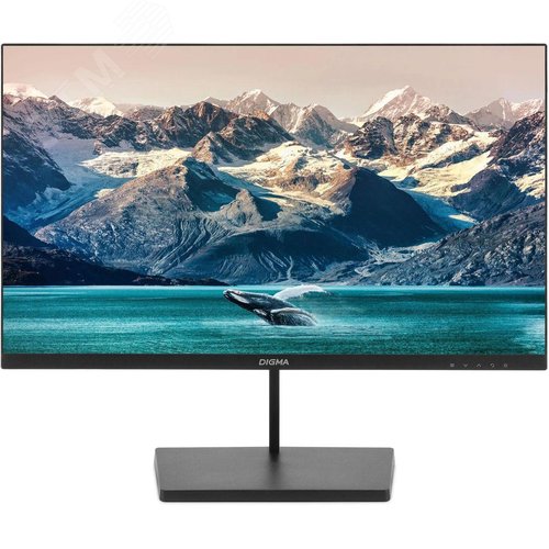 Изображение товара Монитор для ПК 23.8'' Progress24P501F, 1920x1080, LED, IPS, матовая, 250cd, 100Hz, 5ms, HDMI, VGA, DP, FreeSync, G-Sync, черный (шт)