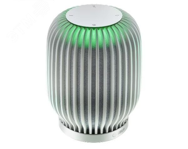 Изображение товара Умная колонка SberBoom 40Вт с ассистентом Салют и GigaChat светло-серый