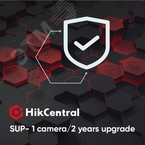 Продление программы обновления платформы на 2 года, стоимость за 1 камеру