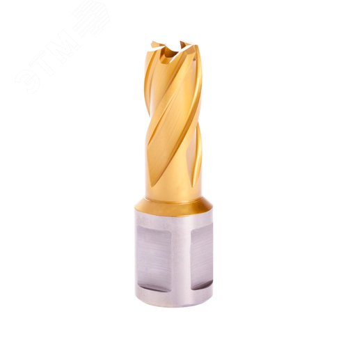 Изображение товара Сверло корончатое по металлу 14x30мм Weldon19 HSS-G TiN (шт)