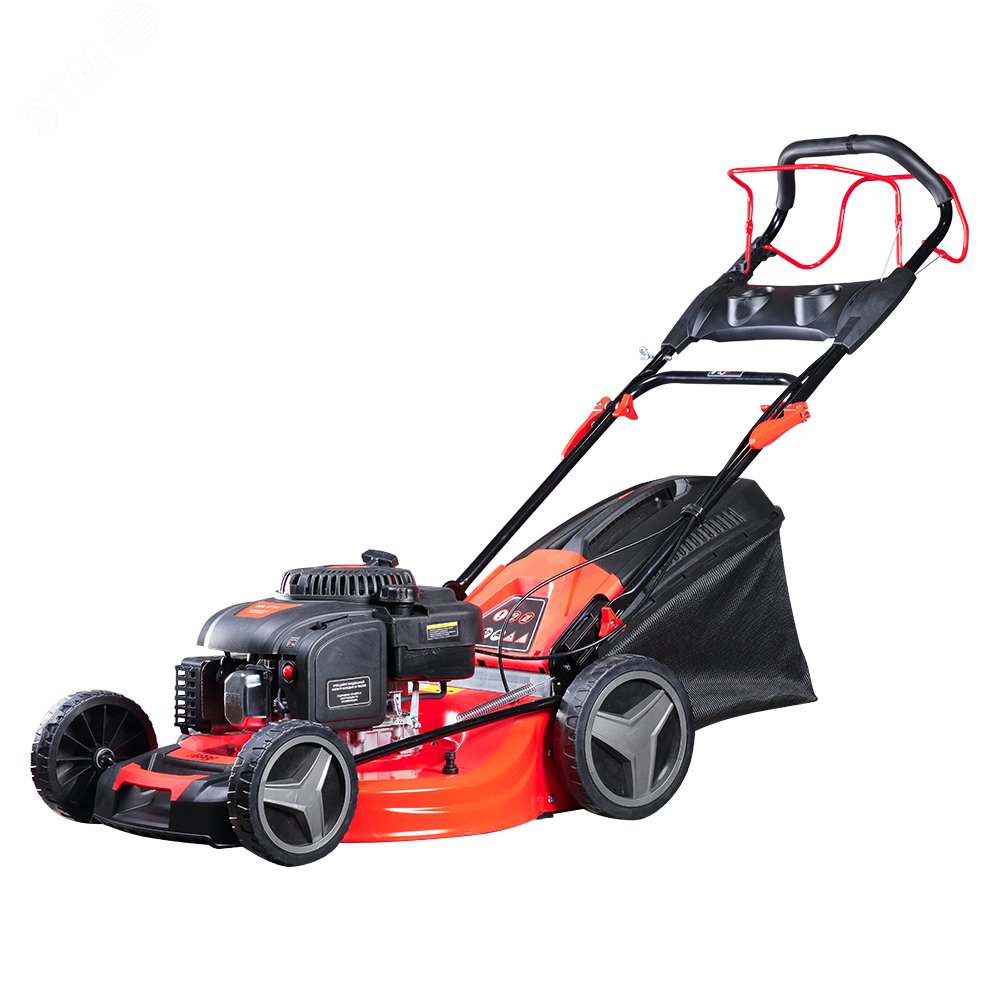 Изображение товара Газонокосилка бензиновая самоходная FPL 56 SM (шт)