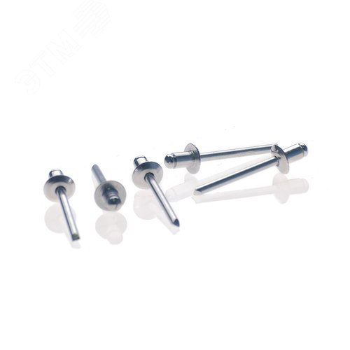 Изображение товара Заклепка для HR2448_4.8мм_500шт. (упак)